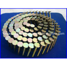 Big Head Galvanized Coil Roofing Nail